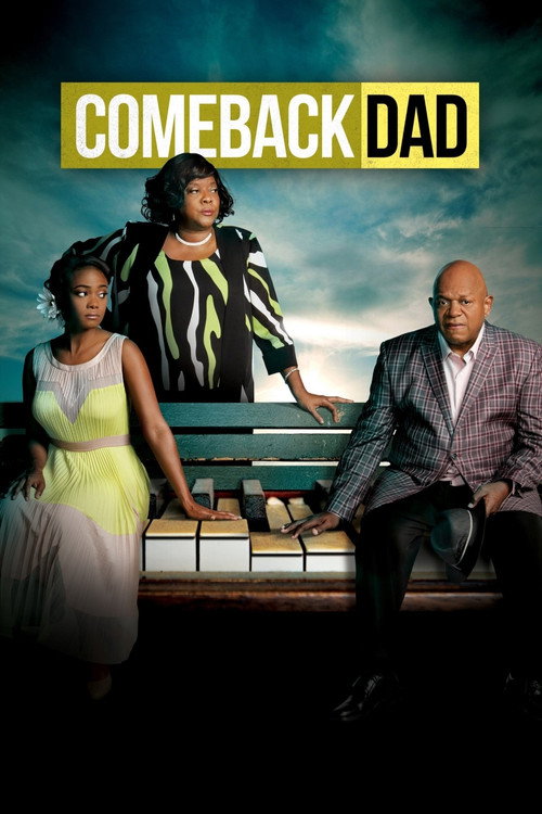 Movie poster for Comeback Dad (2014)