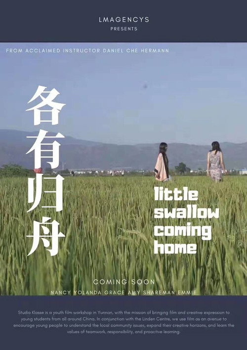Movie poster for Little Swallow Coming Home (2020)