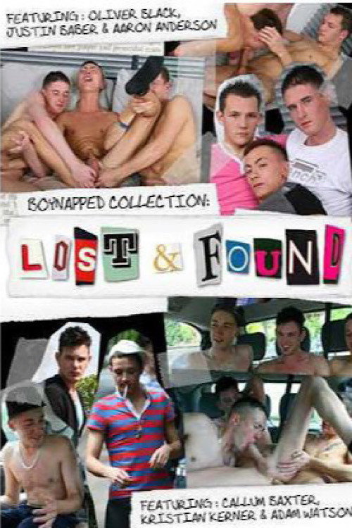 Movie poster for Boynapped Collection: Lost and Found (2010)
