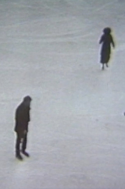 Movie poster for Skating (1978)
