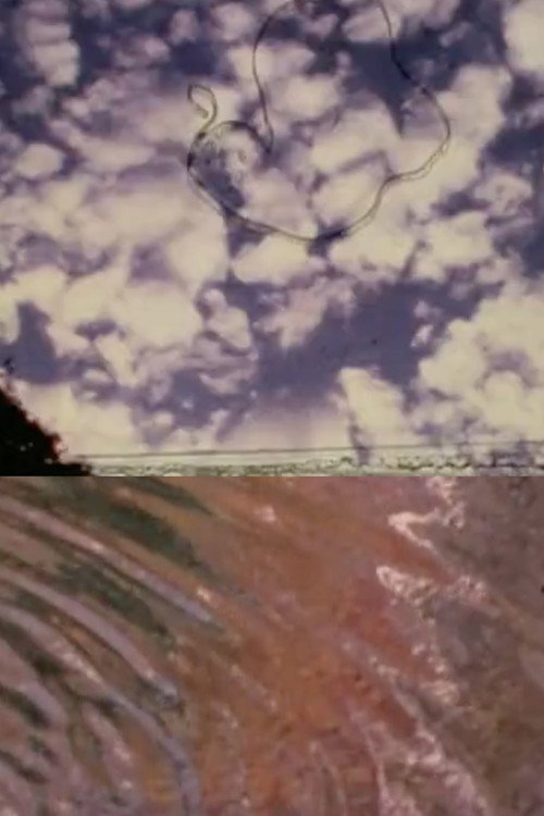 Movie poster for The Cosmos in Mike Smith’s Pond (2002)