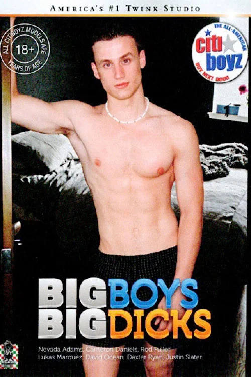 Movie poster for Citi Boyz 65: Big Boys Big Dicks (2011)