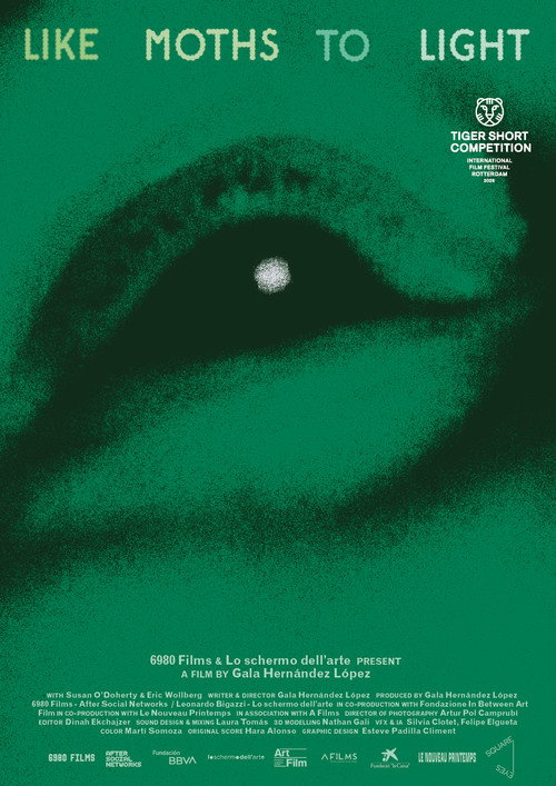 Movie poster for like moths to light (2026)