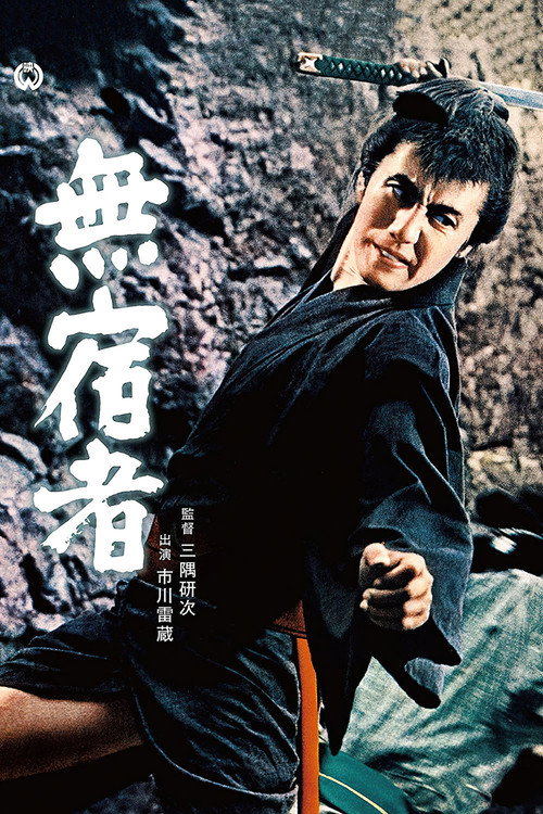 Movie poster for On the Road Forever (1964)