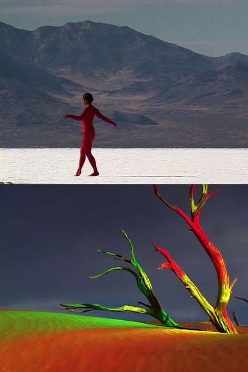 Movie poster for bodies of the desert (2005)