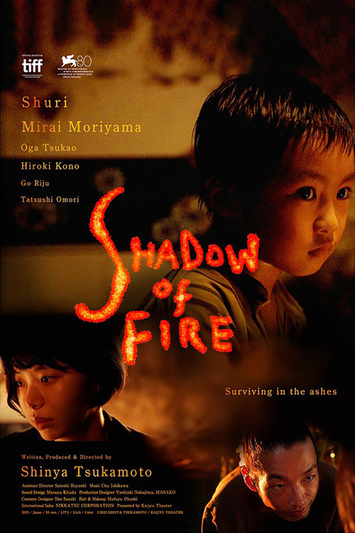Movie poster for Shadow of Fire (2023)