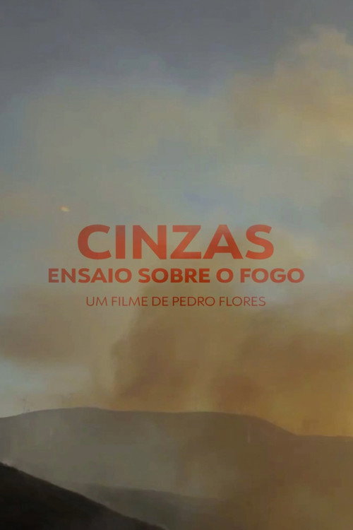 Movie poster for Ashes, An Essay on Fire (2012)