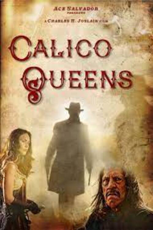 Movie poster for Calico Queens (2017)