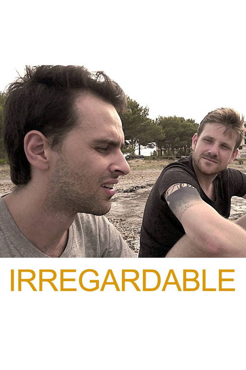 Movie poster for Irregardable (2017)
