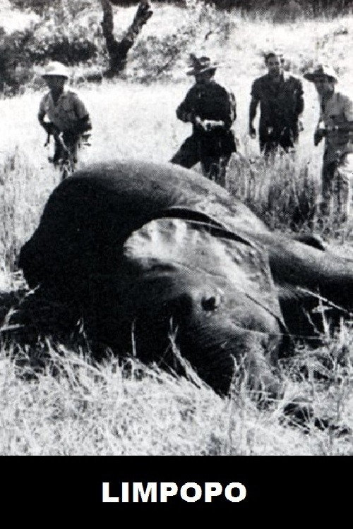 Movie poster for Limpopo (1970)