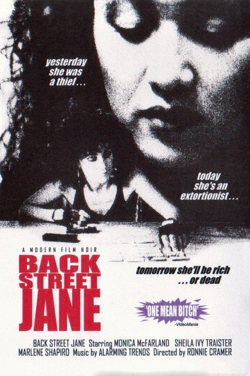 Movie poster for Back Street Jane (1989)