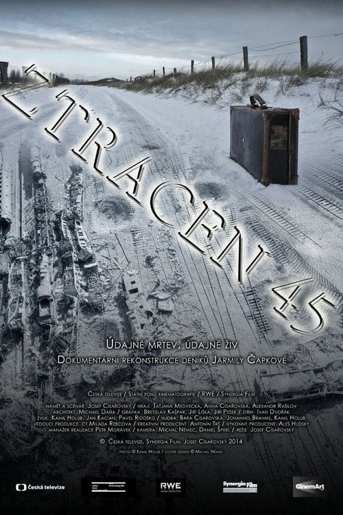 Movie poster for Ztracen 45 (2014)