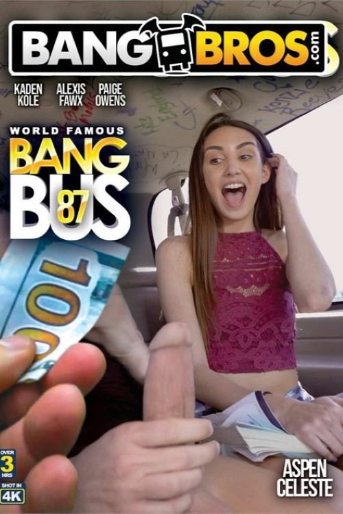 Movie poster for Bang Bus 87 (2024)