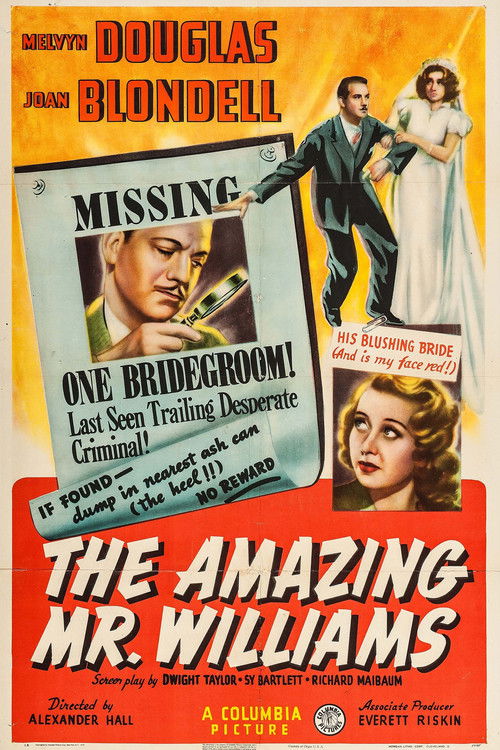 Movie poster for The Amazing Mr. Williams (1939)