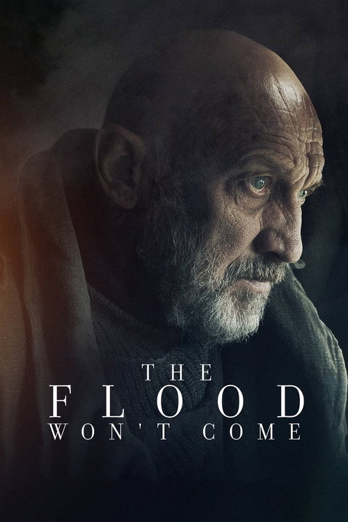 Movie poster for The Flood Won’t Come (2020)