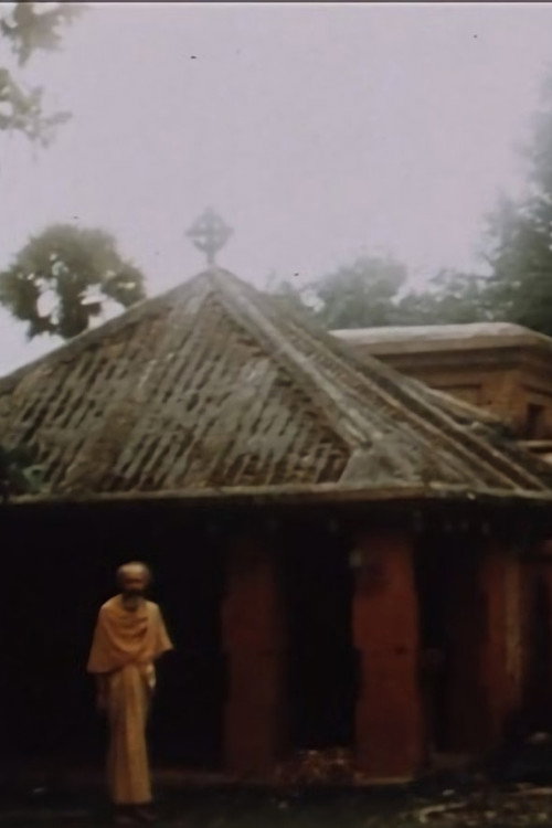 Movie poster for Swamiji, un voyage intérieur (1984)