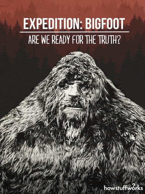 Movie poster for Expedition: Bigfoot - Are We Ready For The Truth?