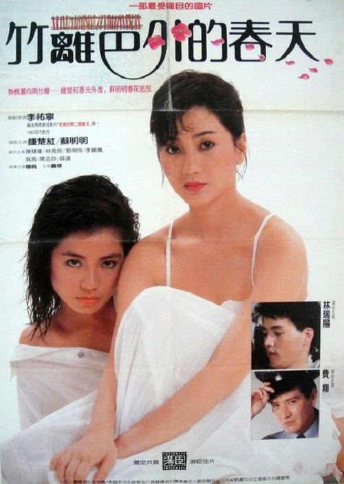 Movie poster for The Spring Outside the Fence (1985)