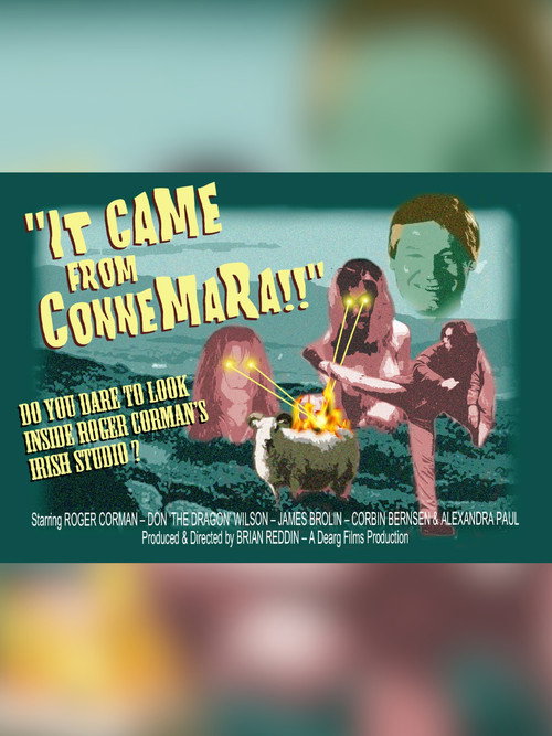 Movie poster for It Came From Connemara! (2014)