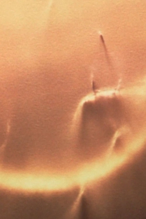 Movie poster for Light Licks: Only Sunshine (2000)
