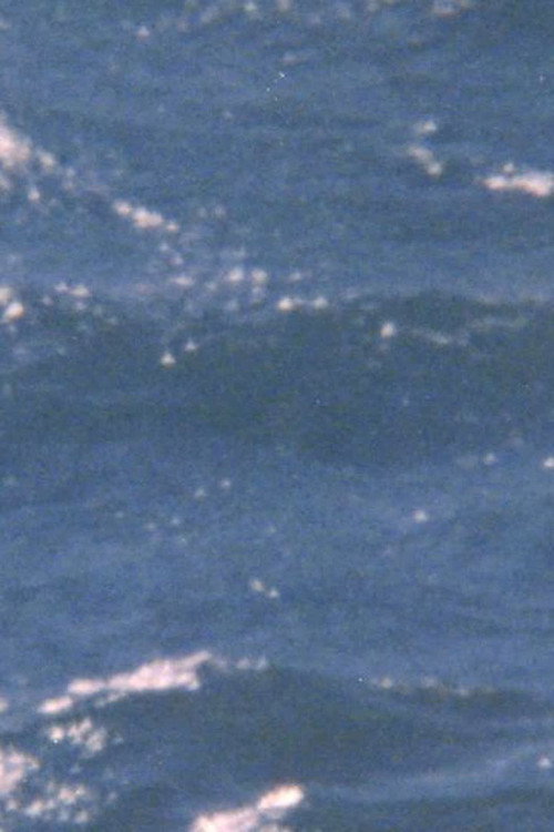 Movie poster for The possibility of being sea (2024)