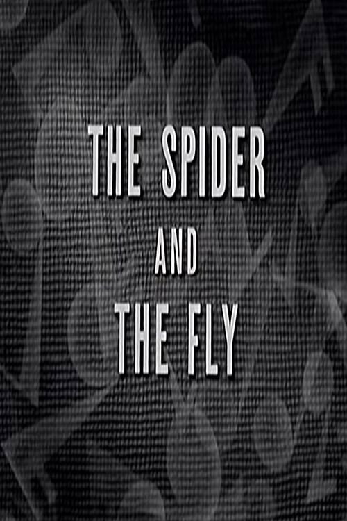Movie poster for The Spider and the Fly (1931)