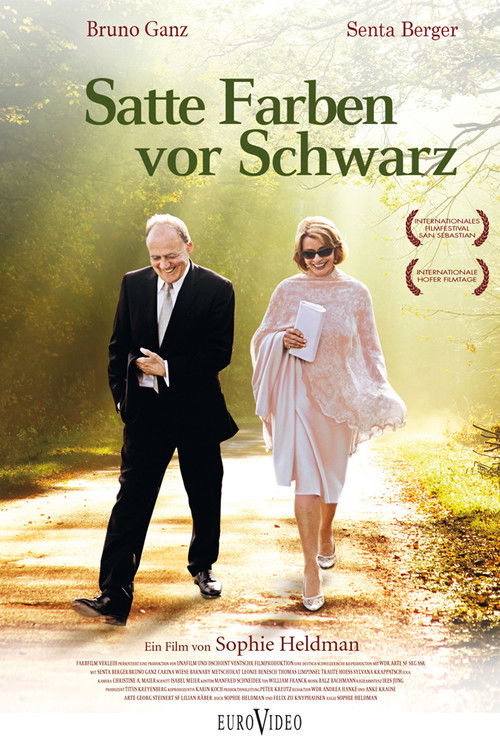 Movie poster for Colors in the Dark (2011)