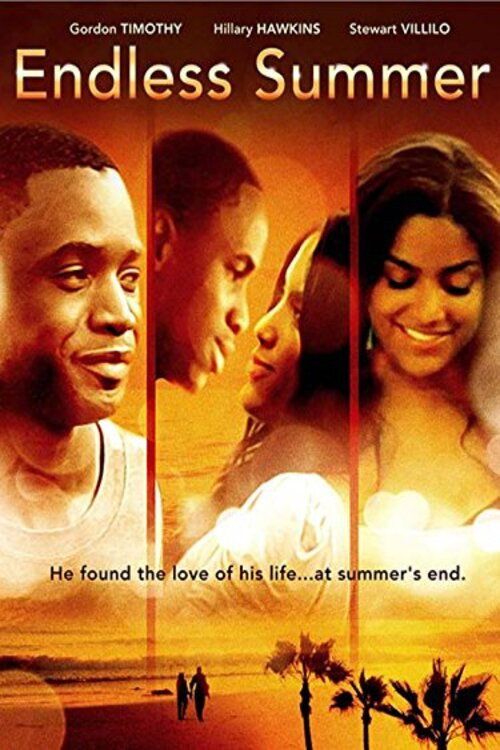 Movie poster for Endless Summer (2012)