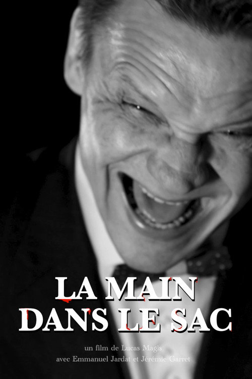 Movie poster for La Main dans le sac (2024)