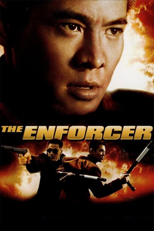 Movie poster for The Enforcer (1995)