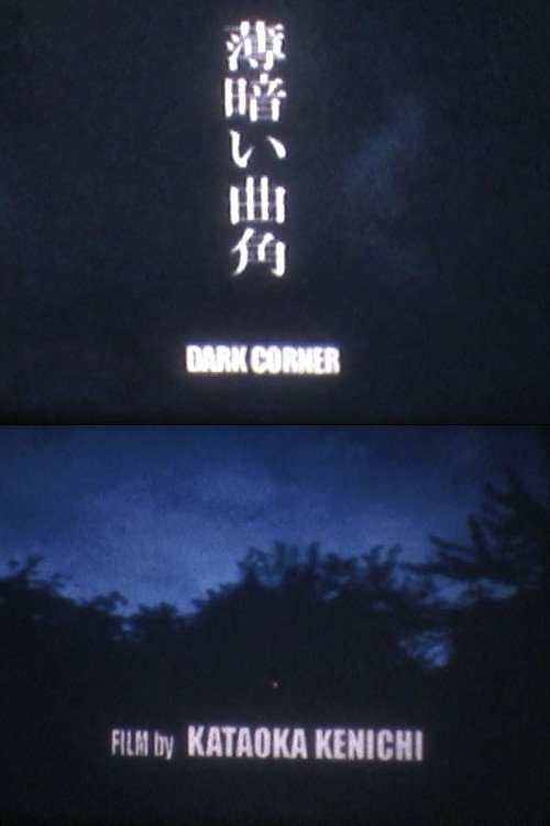 Movie poster for DARK CORNER