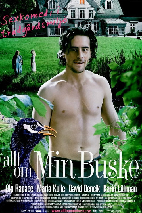 Movie poster for All About My Bush (2007)