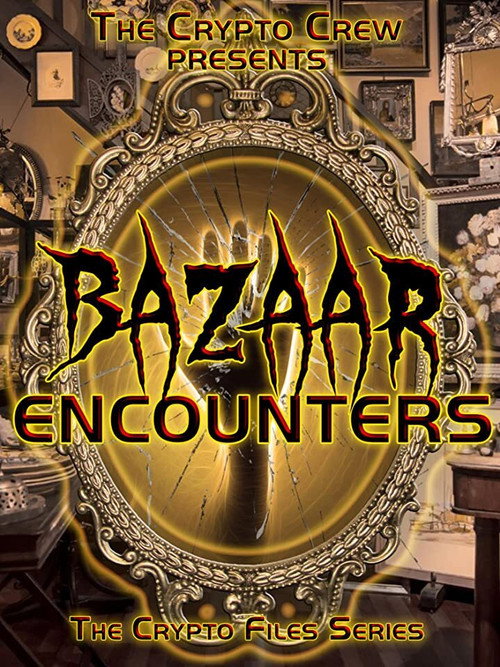 Movie poster for Bazaar Encounters (2019)