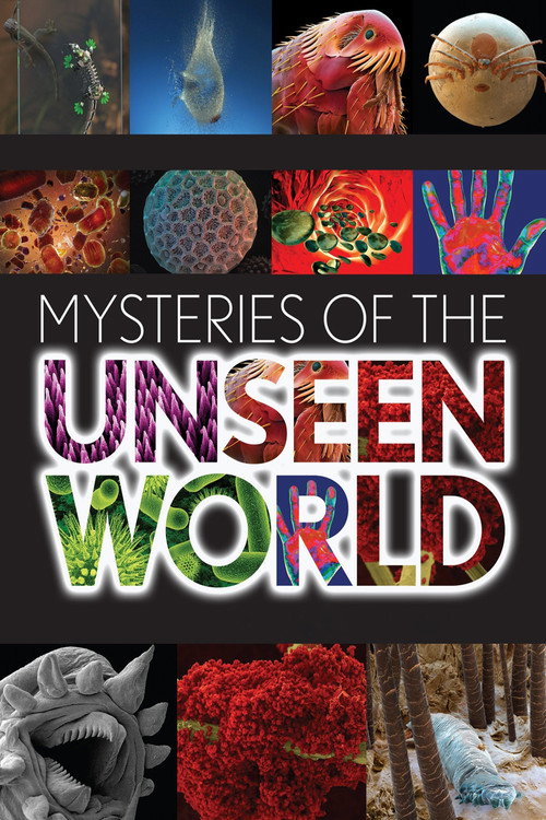 Movie poster for Mysteries of the Unseen World (2013)