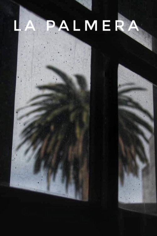 Movie poster for La palmera (2024)