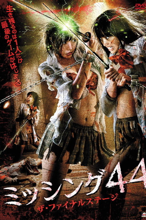 Movie poster for Missing 44 The Final Stage (2010)