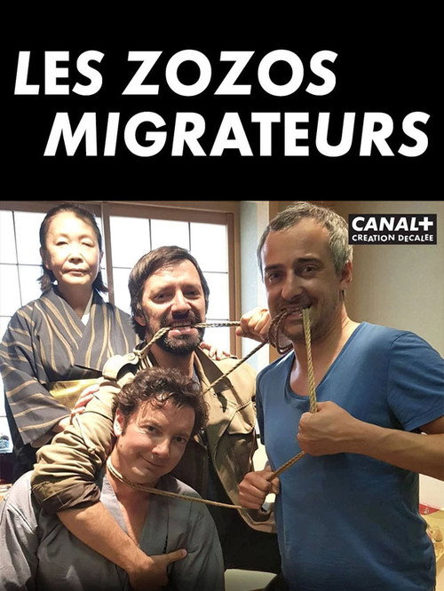 Movie poster for Les zozos migrateurs au pays du soleil levant (2018)