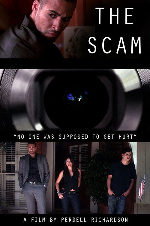 Movie poster for The Scam (2012)