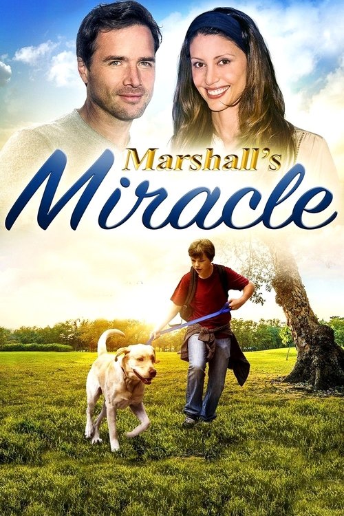 Movie poster for Marshall's Miracle (2015)