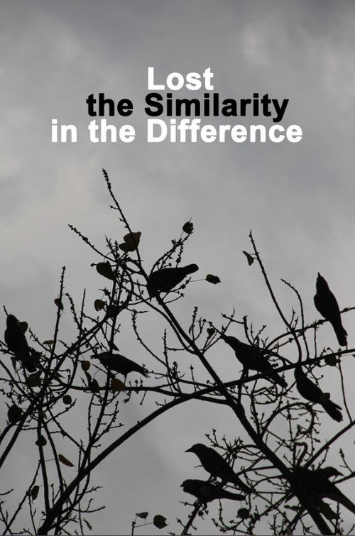 Movie poster for Lost the Similarity in the Difference (2020)