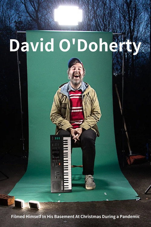 Movie poster for David O'Doherty Filmed Himself In His Basement At Christmas During a Pandemic (2020)