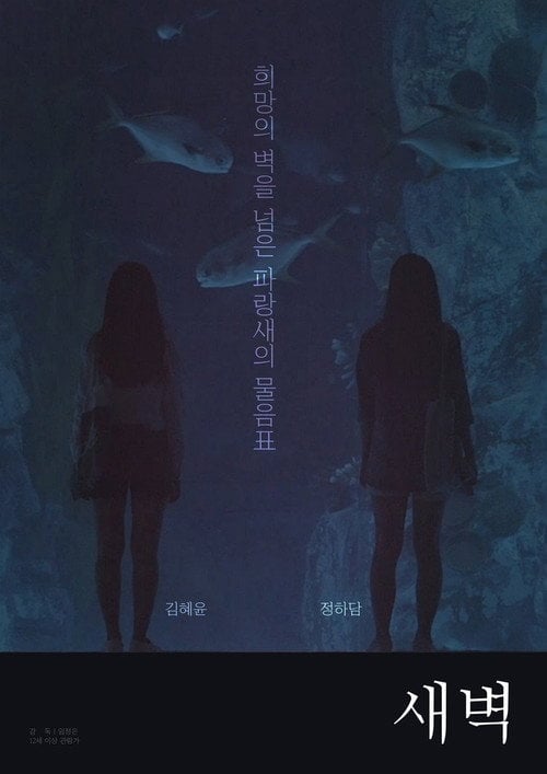 Movie poster for Dawn to Dawn (2018)