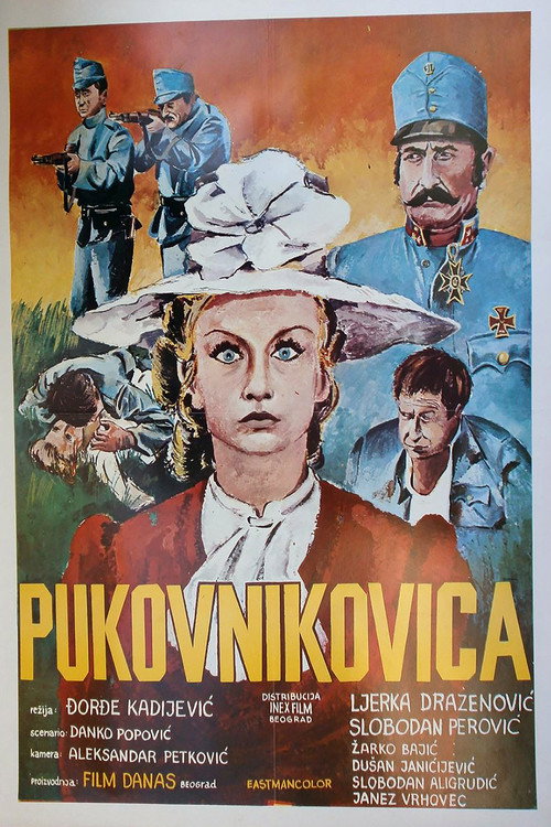 Movie poster for The Colonel's Wife (1972)