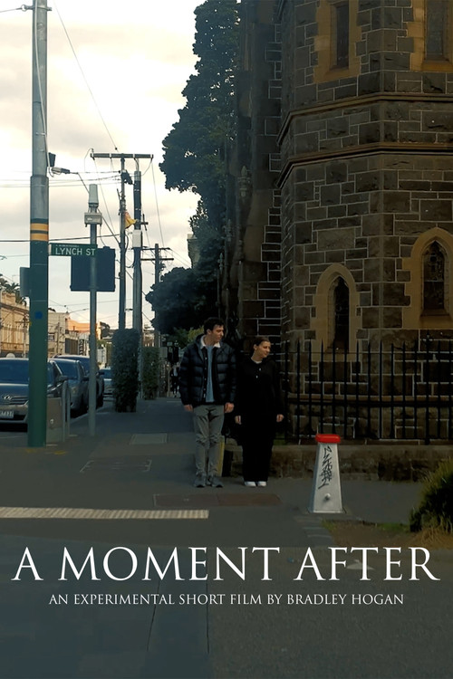 Movie poster for A Moment After (2022)