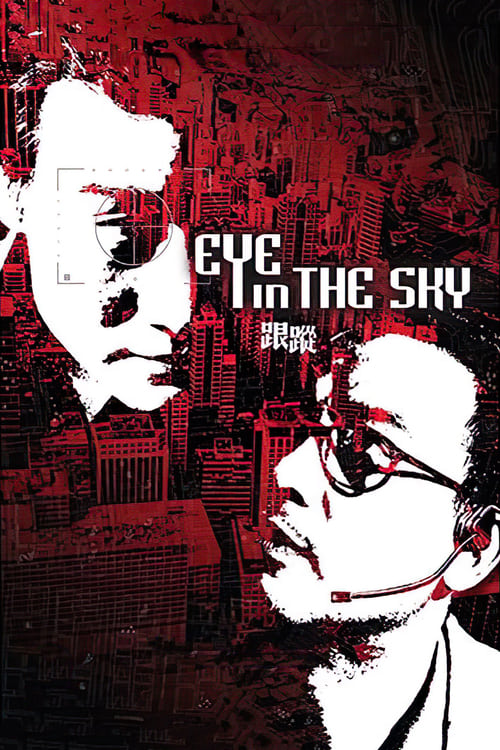 Movie poster for Eye in the Sky (2007)