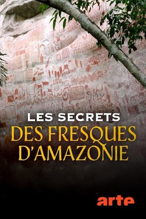 Movie poster for Les secrets des fresques d'Amazonie (2025)