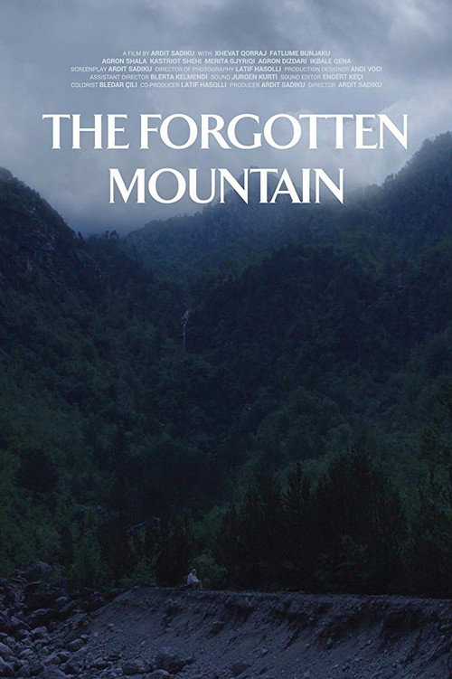 Movie poster for The Forgotten Mountain (2018)