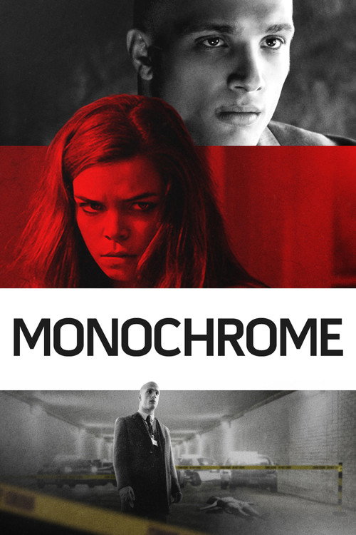Movie poster for Monochrome (2016)