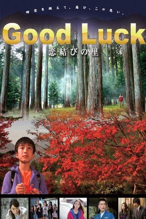 Movie poster for Good Luck (2012)
