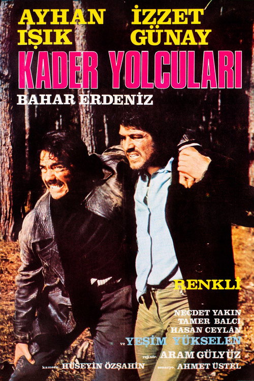 Movie poster for Kader Yolcuları (1973)